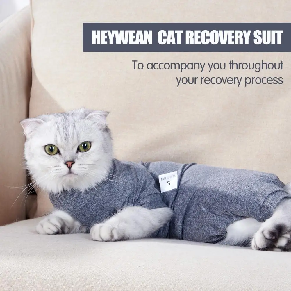 Костюм Для линяющей кошки с полным покрытием, боди для восстановления питомца после операции, Альтернативная рубашка для снятия беспокойства