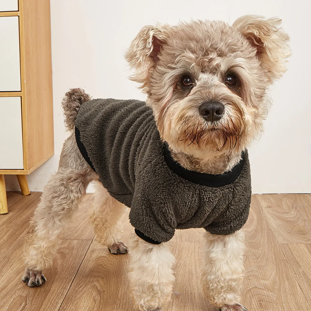 Оптовая продажа одежды для домашних животных для холодной погоды, включая теплые бархатные толстовки. Мы являемся производителями осенней и зимней одежды для кошек